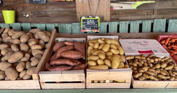Rayons légumes