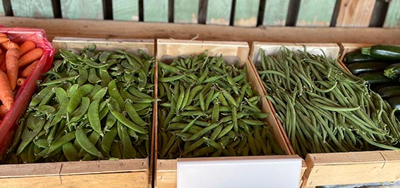 Rayons légumes