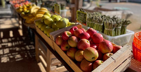 Rayons fruits pommes